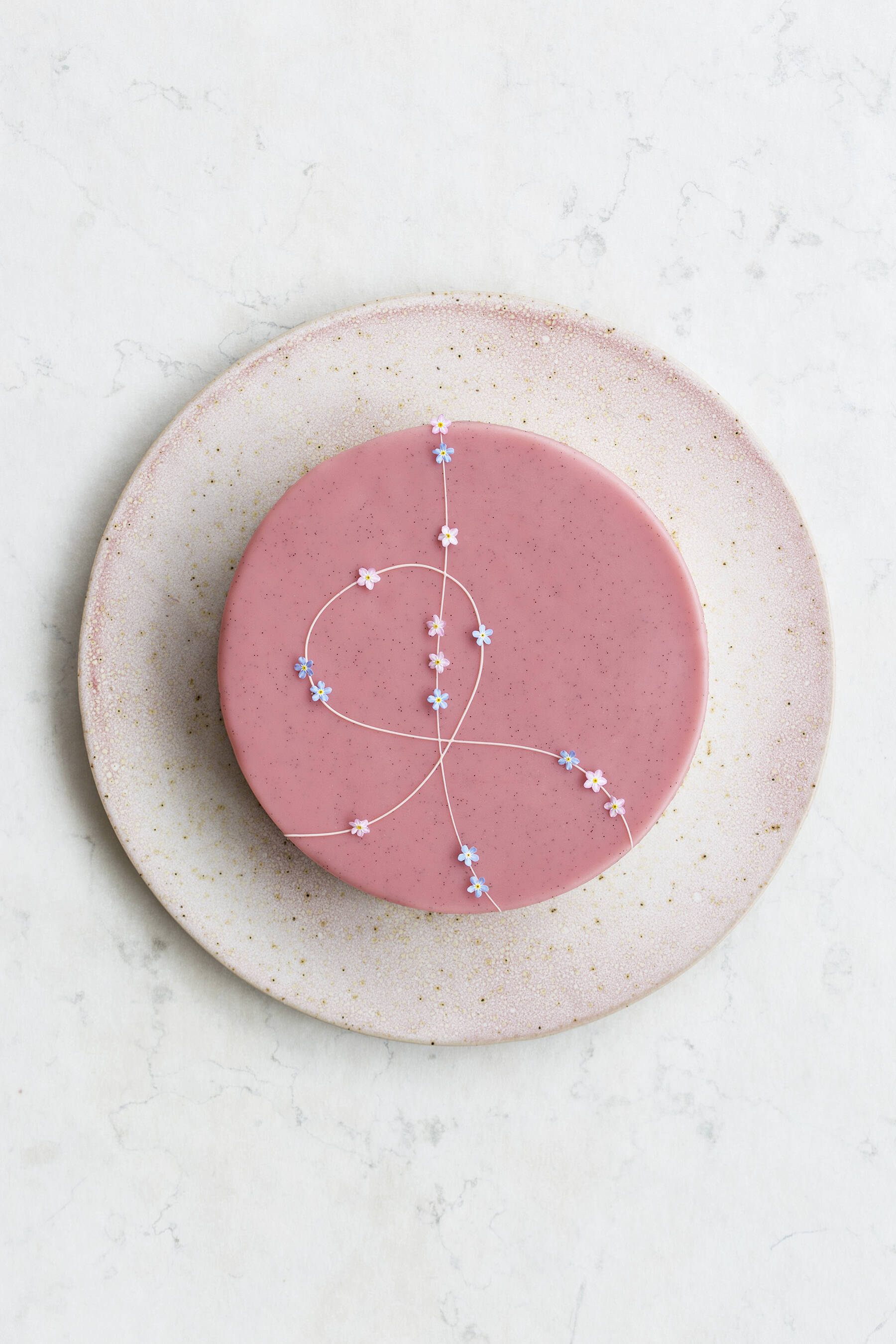 Rhubarb vanilla cake